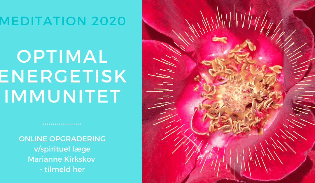 Optimal Energetisk Immunitet